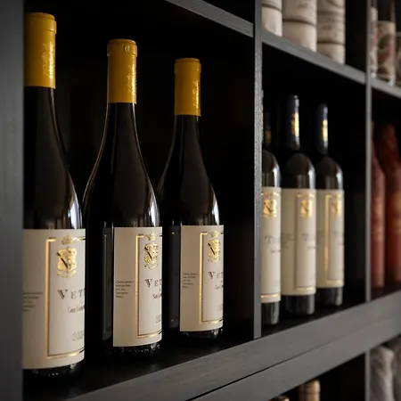考斯特酒店 3* 利莫内-苏尔加达